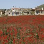 Villalaco Bodegas